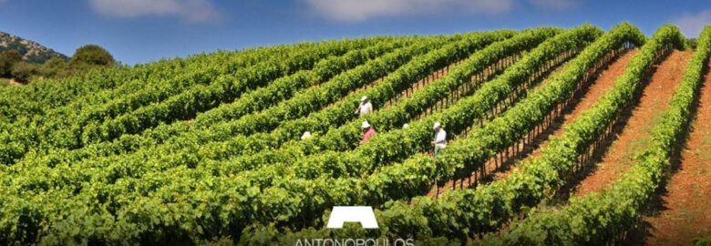 Antonopoulos Vineyards