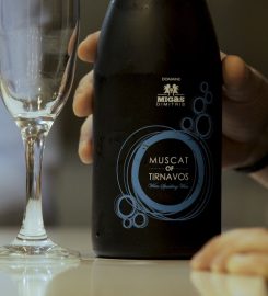 Domaine D. Migas