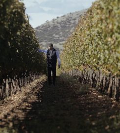Domaine D. Migas