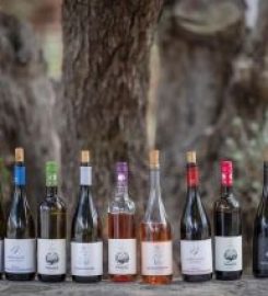 Diamantakis Winery