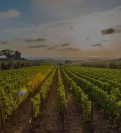 Diamantopoulos Winery