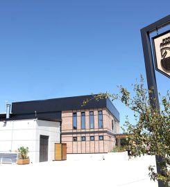 Ζυθοποιία Πηνειού Lola Beer